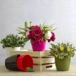 Regal Pot 13.5Dx11.5cmH Red