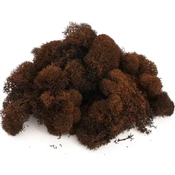 Reindeer Moss Preserved Bag Rust Brown (55gm Bag)