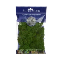Reindeer Moss Preserved Bag Forest Green (55gm Bag)