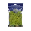 Reindeer Moss Preserved Bag Chartreuse (55gm Bag)