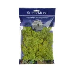 Reindeer Moss Preserved Bag Chartreuse (55gm Bag)