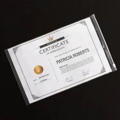 Resealable Zip Slide Cello Bag Clear Pack 100 (20Wx30cmH)