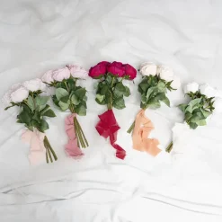 Ribbon Chiffon Frayed Edge Wood Spool Blushing (48mmx20m)