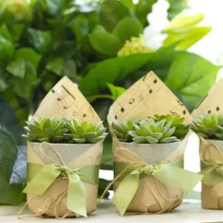 Ribbon Plain Grosgrain Sage (25mmx20m)