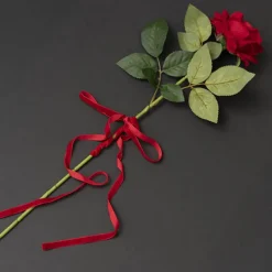 Ribbon Premium Plush Velvet Woven Edge Red (10mmx20m)