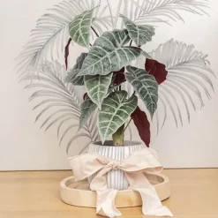 Ribbon Rustic Linen Wire Edge French Cream (60mmx20m)