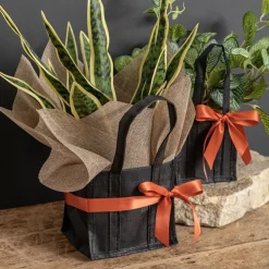 Ribbon Satin Deluxe Double Faced Terracotta (25mmx25m)