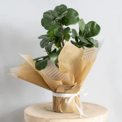 Ribbon Satin Deluxe Double Faced Bridal White (10mmx25m)