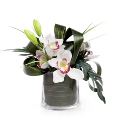 Ribbon Tear Aspidistra Leaf Green (10cmx50m)