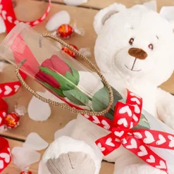 Rose Cylinder Acetate Tube Clear 24" (9cmDx61cmH)