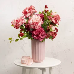 Rose Gruss An Aachen Stem Wine (68cmH)