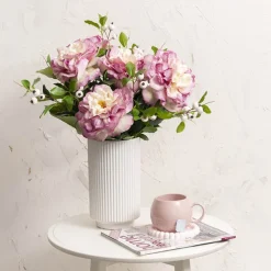 Rose Gruss An Aachen Stem Purple (68cmH)