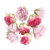 Rose Heads Loose Pack 9 Mixed Pinks