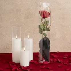 Rose Square PVC Carry Tube Clear Pack 5 (7cmDx50cmH)