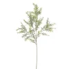 Rosemary Spray Green (78cmH)