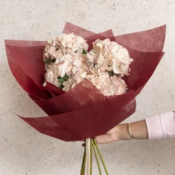 Royal Hydrangea Stem Soft Blush Pink (18cmDx78cmH)