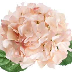 Royal Hydrangea Stem Soft Blush Pink (18cmDx78cmH)