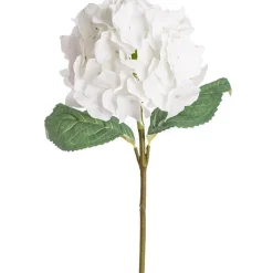Royal Hydrangea Stem White (18cmDx78cmH)
