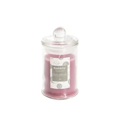 Scented Bonnie Jar Candle Summer Watermelon 90g (6x11cmH)