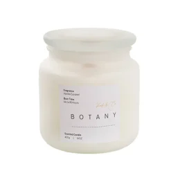 Scented Candle Botany Jar Vanilla Caramel (400g)