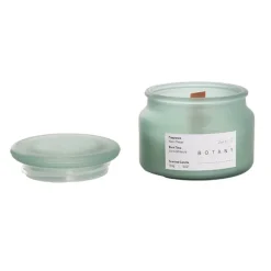 Scented Candle Botany Jar Neon Melon (150g)