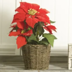 Seagrass Planter Round Dark Brown (17.5cmDx15cmH)