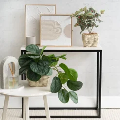 Seagrass Planter Squat Set of 2 Natural White (19x19x13cmH)