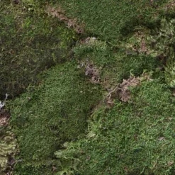 Sheet Moss Preserved Dark Green (55gm)