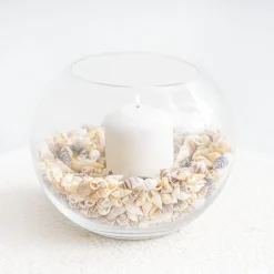 Shells Conches Assorted Natural (250gm Jar)