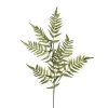 Shield Fern Spray Green (90cmH)