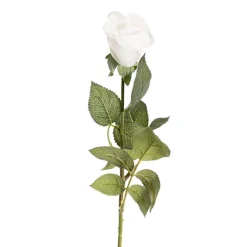 Siena Real Touch Rose Bud White (60cmH)