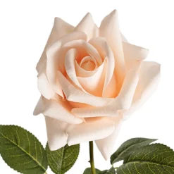 Siena Real Touch Rose Full Bloom Soft Peach (60cmH)