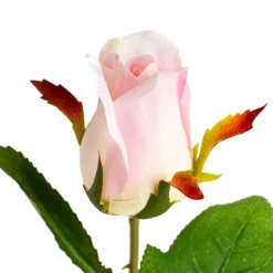 Siena Silk Rose Bud Pink (66cmH)