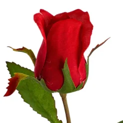 Siena Silk Rose Bud Red (66cmH)