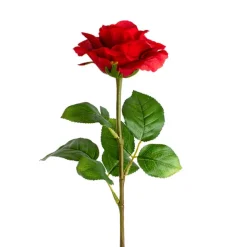 Siena Silk Rose Open Red (67cmH)