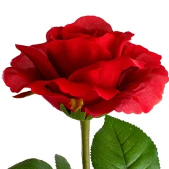 Siena Silk Rose Open Red (67cmH)