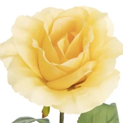 Siena Silk Rose Open Soft Yellow (67cmH)