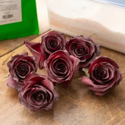 Silica Gel Flower Drying Preserving Crystals 1kg