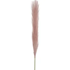 Single Stem Pampas Spray Dusty Pink (70cmH)