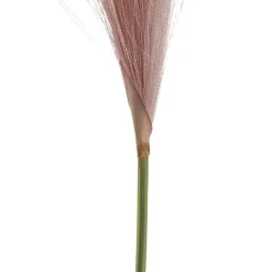 Single Stem Pampas Spray Dusty Pink (70cmH)