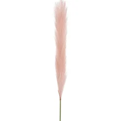 Single Stem Pampas Spray Soft Pink (70cmH)