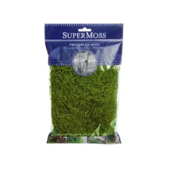Spanish Moss Preserved Grass Green (55gm Bag)