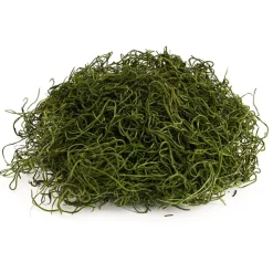 Spanish Moss Preserved Grass Green (55gm Bag)