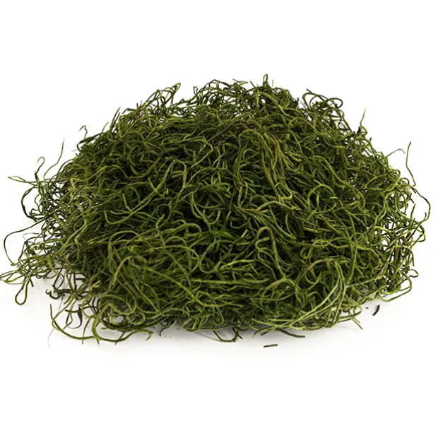 Spanish Moss Preserved Grass Green (55gm Bag)