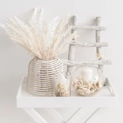 Starfish Decoration Small Natural (32pcs Per Jar)