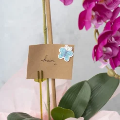 Sticker Wooden Butterflies Assorted Pack 50 (38Wmmx35Hmm)