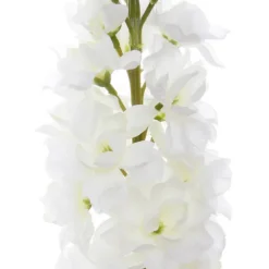 Stock Flower Stem Cream (80cmH)