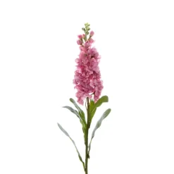 Stock Flower Stem Pink (80cmH)