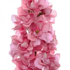 Stock Flower Stem Pink (80cmH)