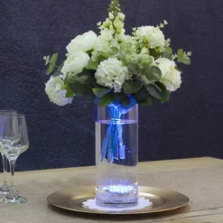 Submersible Illuminating LED Centrepiece Remote Control 7cmD